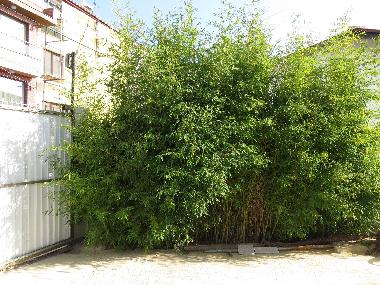 Maison de vacances �/en/au Varna (Varna)ou appartement ou maison de vacances