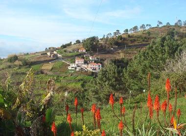 Maison de vacances /en/au Faj da Ovelha (Madeira)ou appartement ou maison de vacances