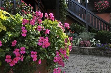 Appartement de vacances /en/au BERGHEIM (Haut-Rhin)ou appartement ou maison de vacances