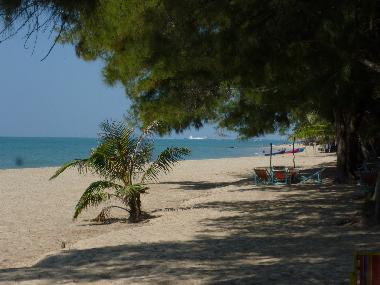 Appartement de vacances �/en/au Ban Phe / Rayong (Rayong)ou appartement ou maison de vacances