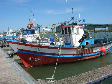 Appartement de vacances /en/au moncarapacho (Algarve)ou appartement ou maison de vacances