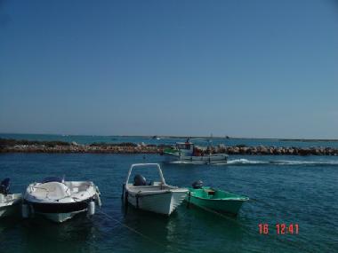 Appartement de vacances /en/au moncarapacho (Algarve)ou appartement ou maison de vacances