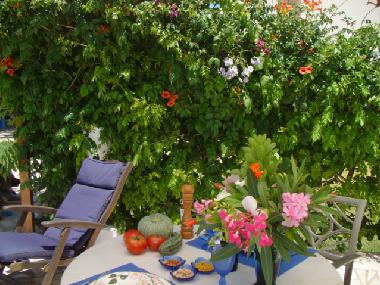 Appartement de vacances /en/au moncarapacho (Algarve)ou appartement ou maison de vacances