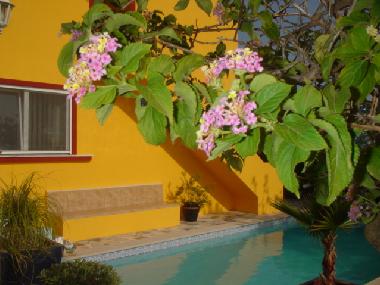 Appartement de vacances /en/au moncarapacho (Algarve)ou appartement ou maison de vacances