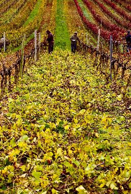 Chambre avec petit d�jeuner �/en/au Manique do Intendente (Grande Lisboa)ou appartement ou maison de vacances