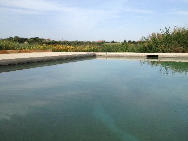 Chambre avec petit d�jeuner �/en/au Manique do Intendente (Grande Lisboa)ou appartement ou maison de vacances