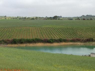 Chambre avec petit d�jeuner �/en/au Manique do Intendente (Grande Lisboa)ou appartement ou maison de vacances