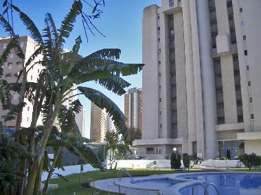 Appartement de vacances �/en/au Benidorm (Alicante / Alacant)ou appartement ou maison de vacances