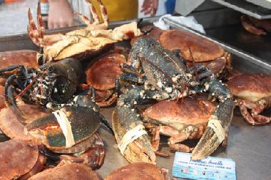 Maison de vacances �/en/au Plourin (Finist�re)ou appartement ou maison de vacances