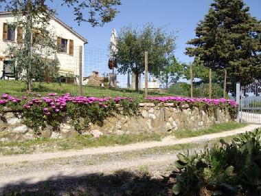 Appartement de vacances /en/au Monteverdi Mmo. Pisa (Pisa)ou appartement ou maison de vacances