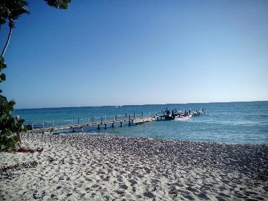 Appartement de vacances �/en/au La Romana (La Romana)ou appartement ou maison de vacances