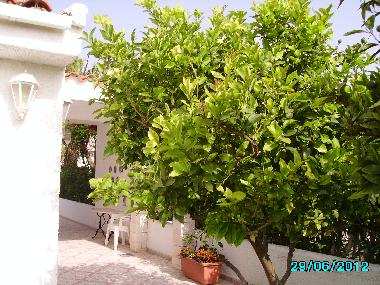 Villa �/en/au Pe�iscola (Castell�n / Castell�)ou appartement ou maison de vacances