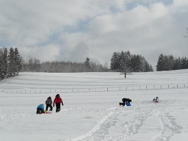 Villa /en/au 88520 (Vosges)ou appartement ou maison de vacances