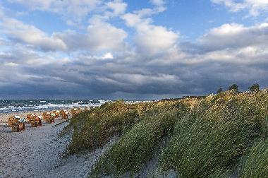 Maison de vacances �/en/au Ahrenshoop-Niehagen (Fischland-Dar�-Zingst)ou appartement ou maison de vacances