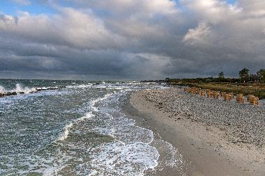 Maison de vacances �/en/au Ahrenshoop-Niehagen (Fischland-Dar�-Zingst)ou appartement ou maison de vacances