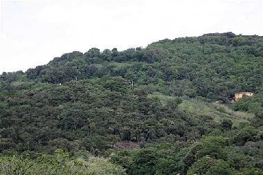 Maison de vacances �/en/au San Martino di Roccastrada (Grosseto)ou appartement ou maison de vacances