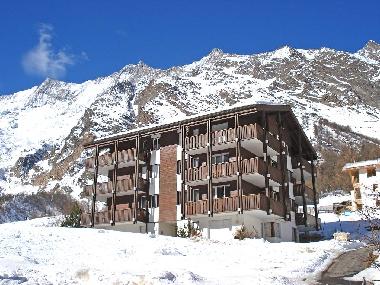 Topas en hiver