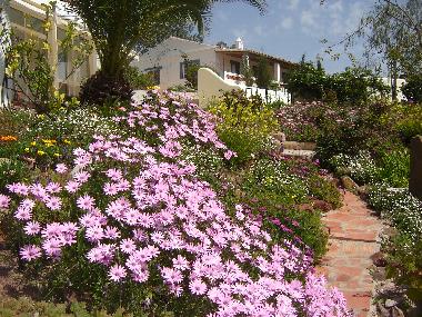 Maison de vacances �/en/au S�o Br�s de Alportel (Algarve)ou appartement ou maison de vacances