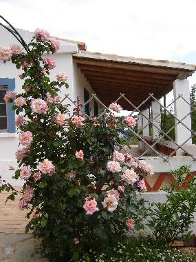 Maison de vacances �/en/au S�o Br�s de Alportel (Algarve)ou appartement ou maison de vacances