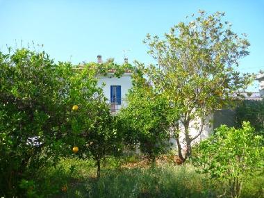 Maison de vacances �/en/au Sarantapichiotika (Korinthia)ou appartement ou maison de vacances