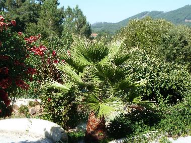 Appartement de vacances /en/au Caneiro - Mas de Dona Maria (Pinhal Litoral)ou appartement ou maison de vacances
