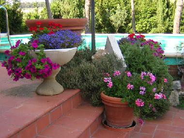 Villa /en/au Castiglione del Lago ( Pg) (Perugia)ou appartement ou maison de vacances