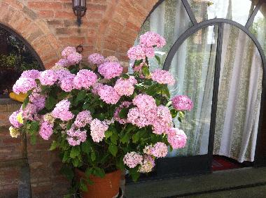 Villa /en/au Castiglione del Lago ( Pg) (Perugia)ou appartement ou maison de vacances