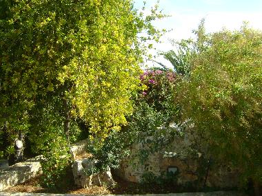 Villa /en/au Polignano a Mare (Bari)ou appartement ou maison de vacances