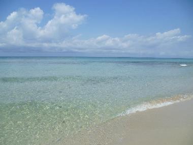 Villa /en/au Polignano a Mare (Bari)ou appartement ou maison de vacances