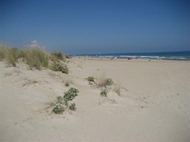 Villa �/en/au oliva (Valencia / Val�ncia)ou appartement ou maison de vacances