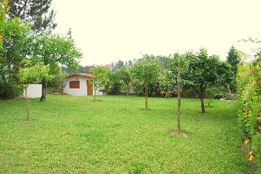 Maison de vacances /en/au Oliveira de Azemeis (Baixo Vouga)ou appartement ou maison de vacances