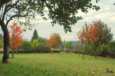 Maison de vacances /en/au Oliveira de Azemeis (Baixo Vouga)ou appartement ou maison de vacances