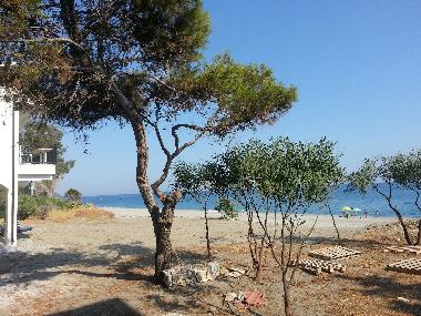 Maison de vacances /en/au BOVA MARINA (Reggio di Calabria)ou appartement ou maison de vacances