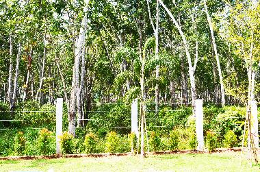 Maison de vacances �/en/au krabi (Krabi)ou appartement ou maison de vacances