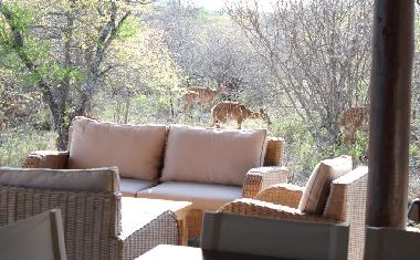 Maison de vacances �/en/au Hoedspruit (Northern Province)ou appartement ou maison de vacances