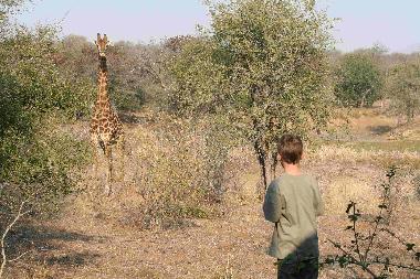 Maison de vacances �/en/au Hoedspruit (Northern Province)ou appartement ou maison de vacances