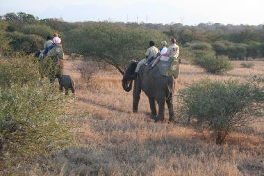 Maison de vacances �/en/au Hoedspruit (Northern Province)ou appartement ou maison de vacances