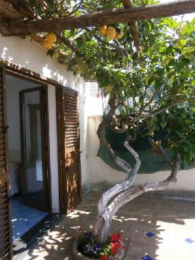 Appartement de vacances /en/au Praiano (Salerno)ou appartement ou maison de vacances