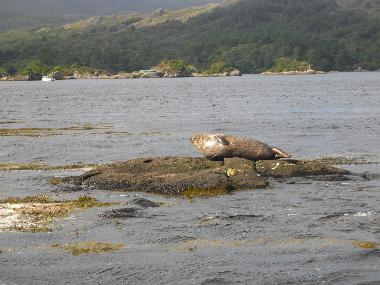 Maison de vacances �/en/au Tuosist (Kerry)ou appartement ou maison de vacances