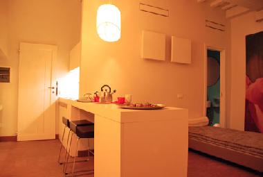 Appartement de vacances �/en/au florence (Firenze)ou appartement ou maison de vacances