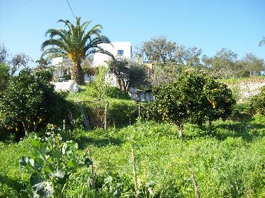 Appartement de vacances /en/au Grndola (Alentejo Litoral)ou appartement ou maison de vacances