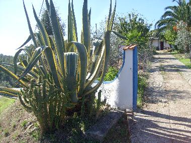 Appartement de vacances /en/au Grndola (Alentejo Litoral)ou appartement ou maison de vacances