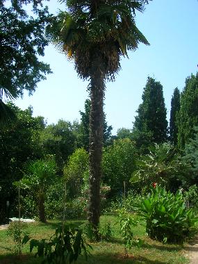 Appartement de vacances �/en/au Pula (Istarska)ou appartement ou maison de vacances