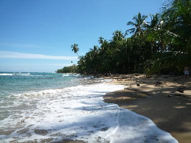 Maison de vacances �/en/au Puerto Viejo (Limon)ou appartement ou maison de vacances