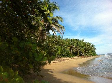 Maison de vacances �/en/au Puerto Viejo (Limon)ou appartement ou maison de vacances