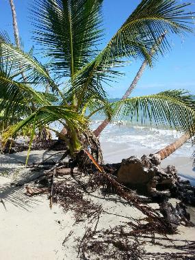 Maison de vacances �/en/au Puerto Viejo (Limon)ou appartement ou maison de vacances