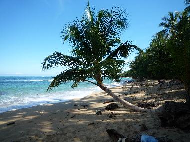 Maison de vacances �/en/au Puerto Viejo (Limon)ou appartement ou maison de vacances