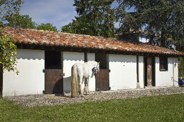 Maison de vacances �/en/au Bustio - Ribadedeva (Asturias)ou appartement ou maison de vacances