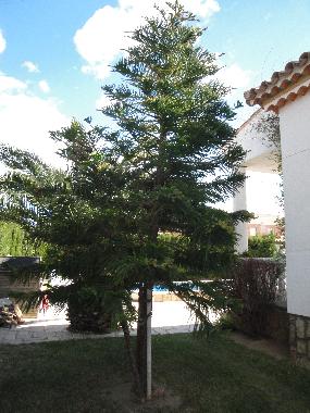 Villa /en/au Miami Playa (Tarragona)ou appartement ou maison de vacances