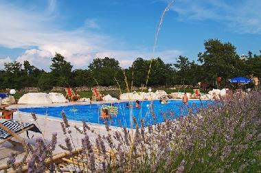 Villa �/en/au Divsici (Istarska)ou appartement ou maison de vacances